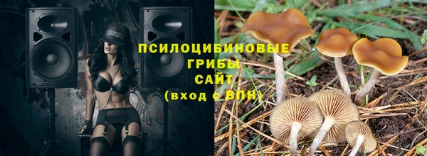 a pvp Аркадак